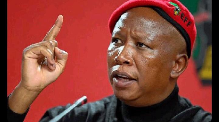 Malema Explosive Speech in Sophiatown Could Redefine South Africa’s Land Battle—Here’s What to Expect Malema’s Explosive Speech in Sophiatown Could Redefine South Africa’s Land Battle—Here’s What to Expect