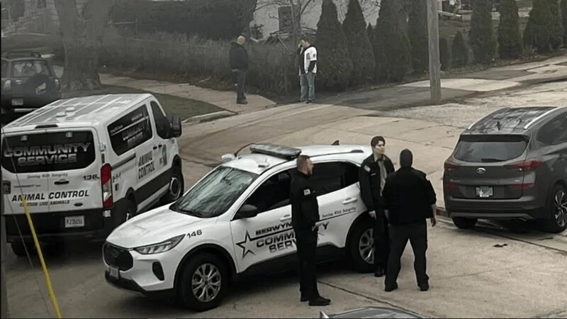 26-Year-Old Woman Shot and Killed in Berwyn, Suspect Arrested in Connection to Tragic Attack